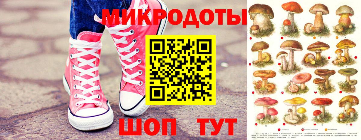 закладки  Вход с VPN  Пушкино  Псилоцибиновые грибы Magic Shrooms 